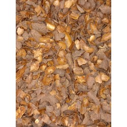 Ecorces de cacao