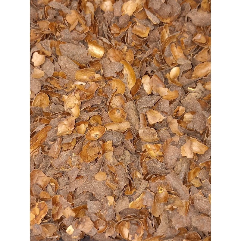 Ecorces de cacao