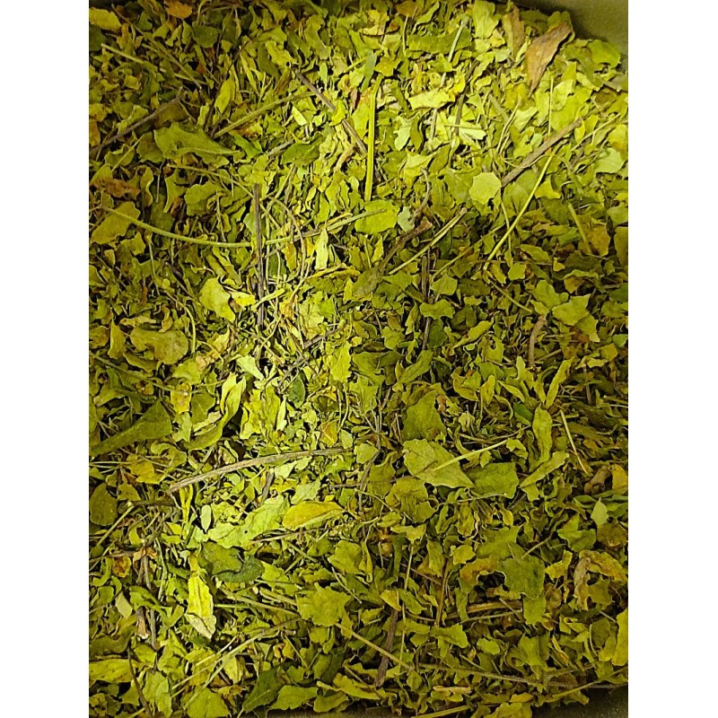 Feuilles de moringa bio Les Jardins de Gaïa