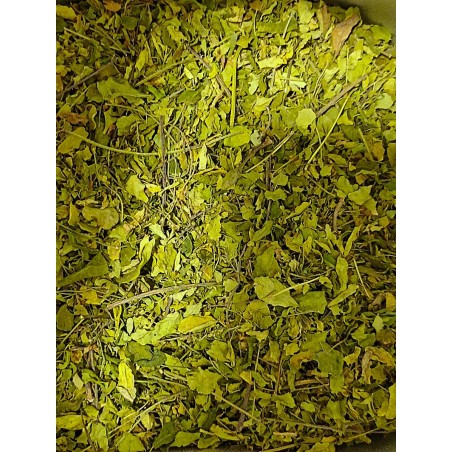Feuilles de moringa bio Les Jardins de Gaïa