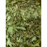 Menthe douce d'Alsace