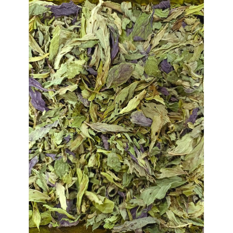 Menthe poivrée d'Alsace