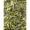 Menthe poivrée d'Alsace