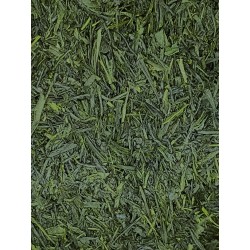 Gyokuro du Japon