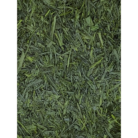 Gyokuro du Japon