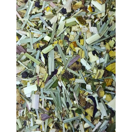 Tisane Citron - Gingembre